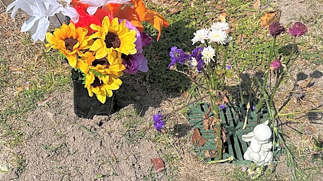 Deadly year sees 11 fatal shootings in Wilmington. Here are the lives lost.