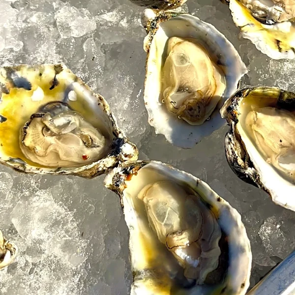 New restaurants, and oyster specials, in the Wilmington area