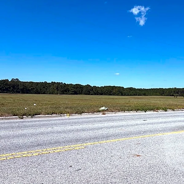 New details revealed for proposed Hampstead Walmart