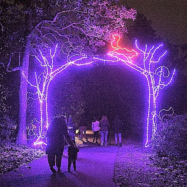 How to get tickets to Wilmington's Enchanted Airlie in 2026