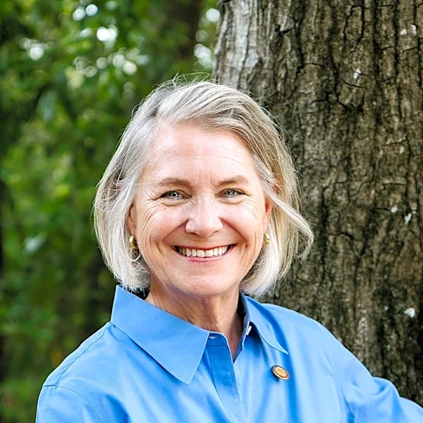 Meet the candidates for NC House District 18