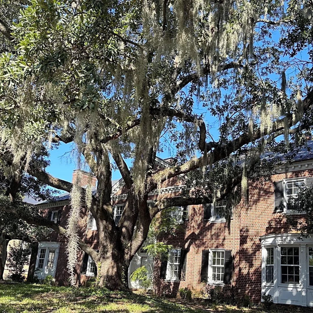 Future remains unclear for Wilmington's 'other' Bellamy mansion