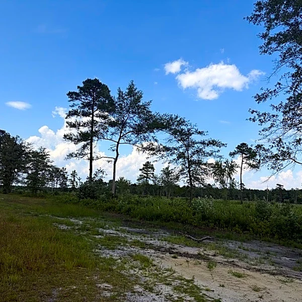 Pender Commissioners approve RV campground despite resident concerns