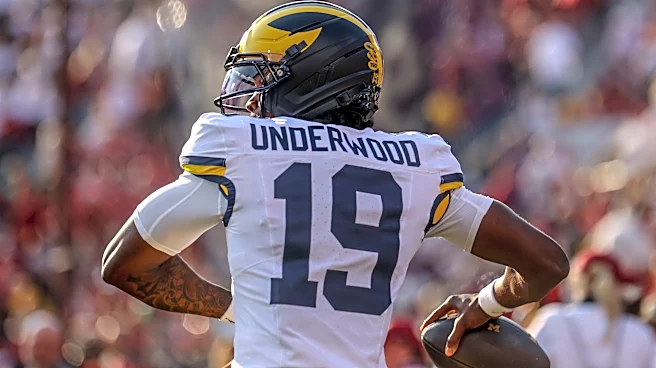 Michigan defensive coach raves about Bryce Underwood's progress