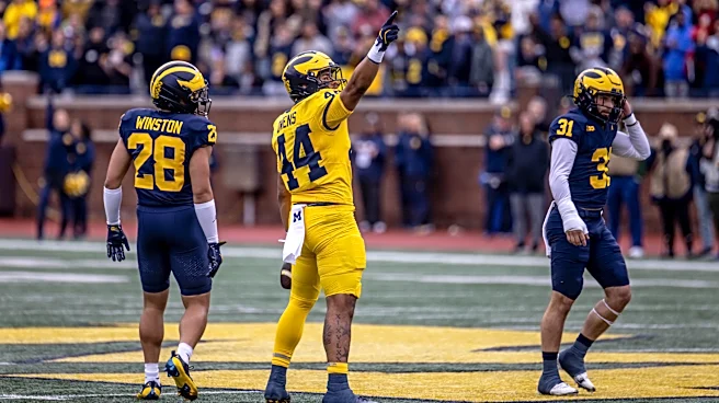 Michigan TE Eli Owens bluntly identifies problem with position group