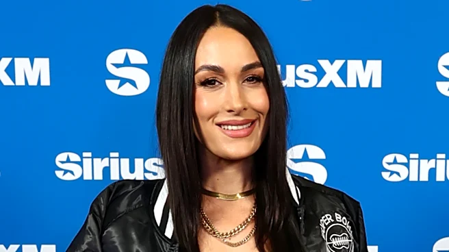 WWE HOFer Brie Bella Details How Team With Paige Came About
