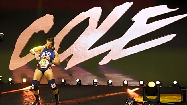 Matt & Nick Jackson Of The Young Bucks Offer Update On AEW Star Adam Cole