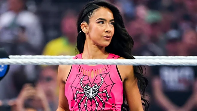 Ex-WWE Star Kaitlyn Comments On Recent Returns Of Former Divas Champs AJ Lee & Paige