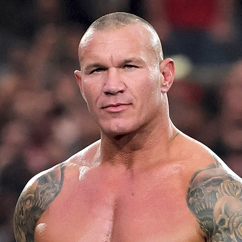 Former WWE Star Nearly Quit Company After Believing He Hurt Randy Orton