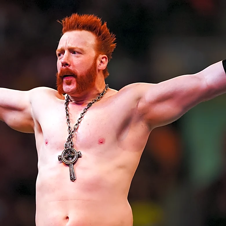 Sheamus Moved To Alumni Section Of WWE's Roster Amid Departure Reports