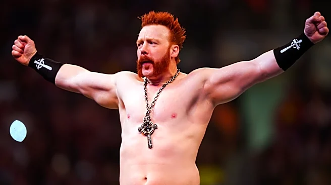 Sheamus Moved To Alumni Section Of WWE's Roster Amid Departure Reports