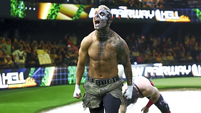 AEW Star Darby Allin Shares Closer Look At 'Sketchy' Forbidden Door Moment