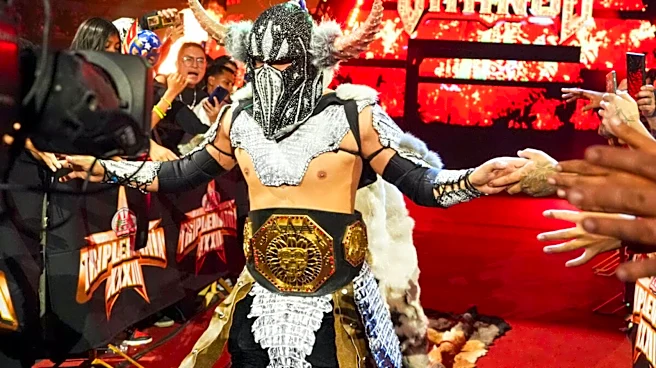 Dave Meltzer Speculates On Recovery Timeline For AAA's El Hijo Del Vikingo
