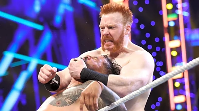 High-Level WWE Official Reportedly 'Went To Bat' For Sheamus Prior To His Departure