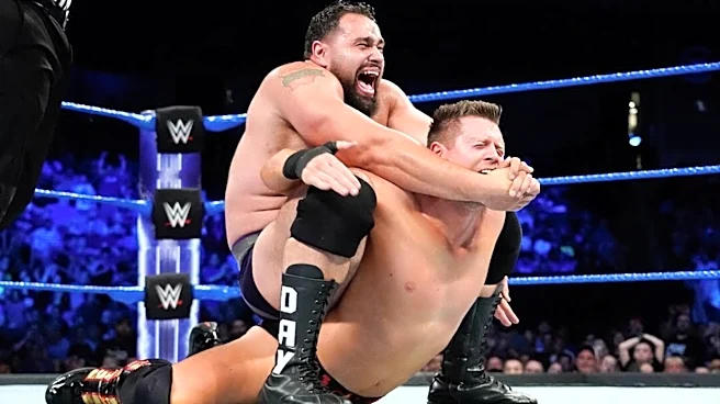 WWE Star The Miz Identifies Most Painful Finisher To Take