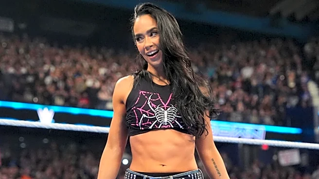 AJ Lee Discusses 'Wonderful Surprise' Of WWE Return