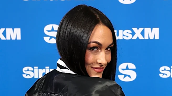 Brie Bella Talks Balancing WWE & Parenting Schedules With Husband Bryan Danielson