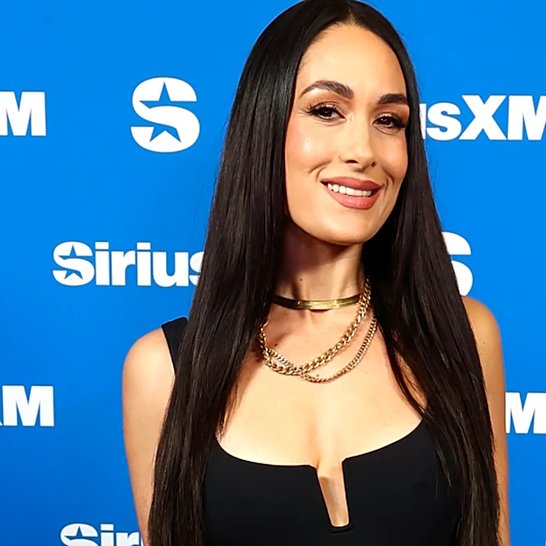 WWE's Brie Bella Eyeing Eventual Return To Singles Division
