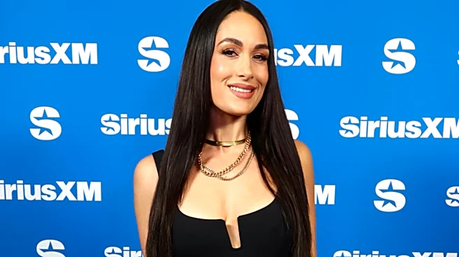 WWE's Brie Bella Eyeing Eventual Return To Singles Division