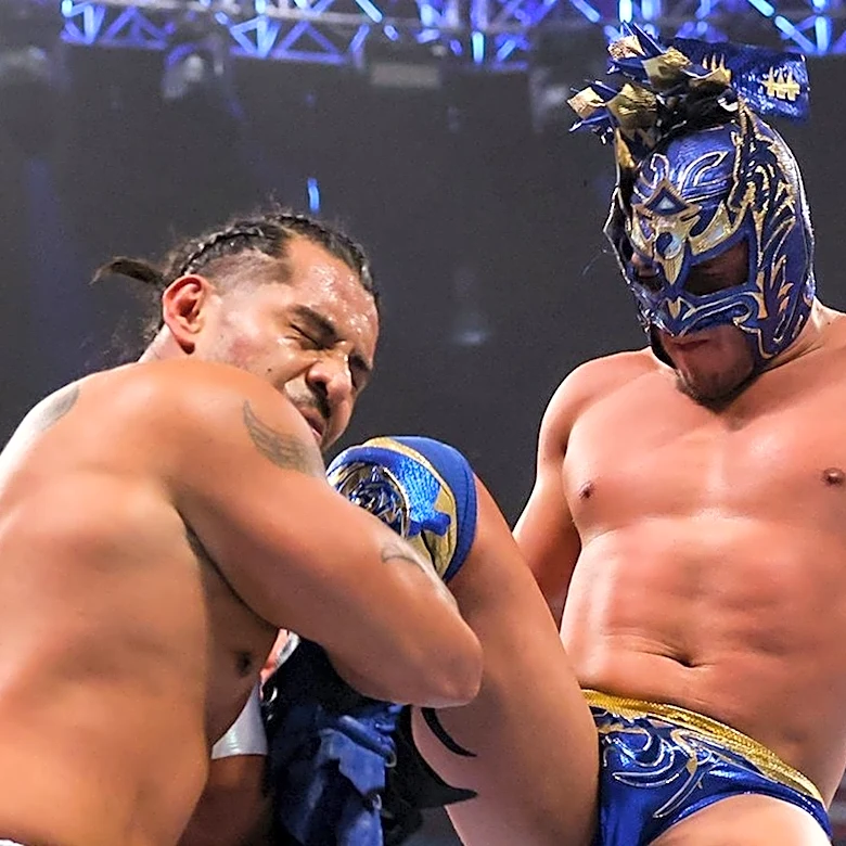Dragon Lee Recalls Learning English Following His WWE Arrival