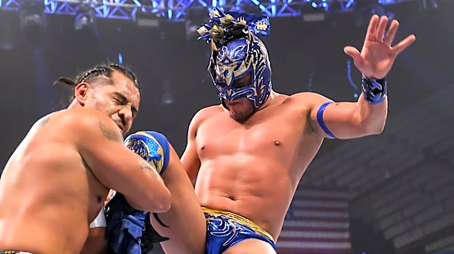 Dragon Lee Recalls Learning English Following His WWE Arrival