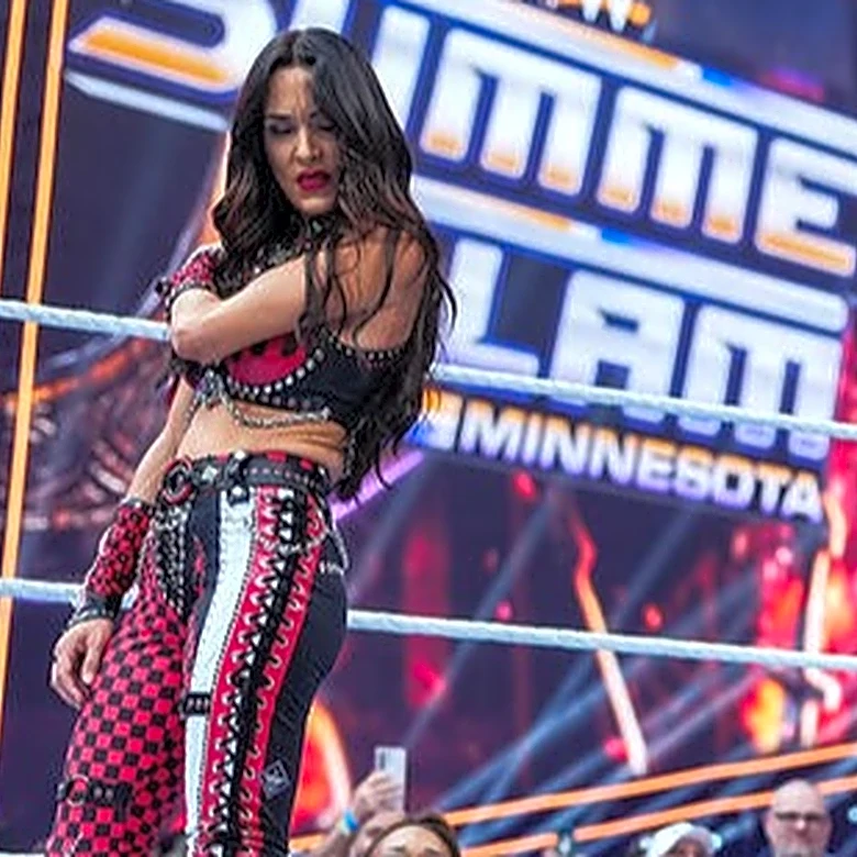 Triple H Confirms Brie Bella Suffered Injury In WWE SummerSlam 2026 Match