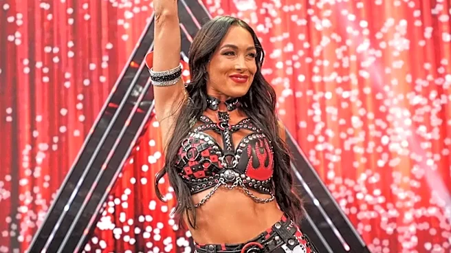 Brie Bella Reveals Return Timeline For Shoulder Injury She Suffered At WWE SummerSlam