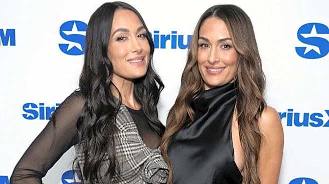 Nikki Bella Comments On Heel Turn, Brie Injury At WWE SummerSlam 2026