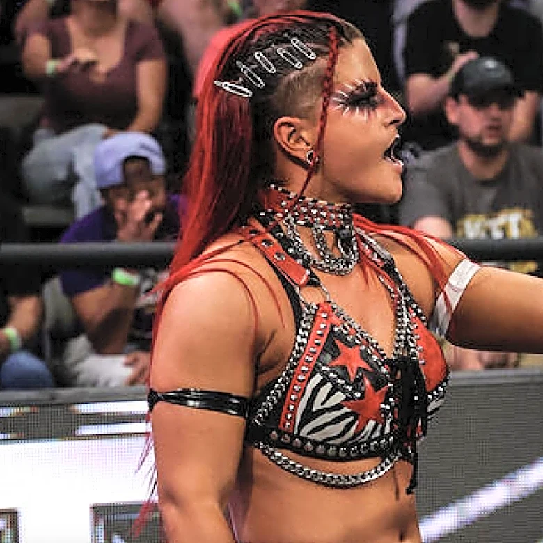 WWE NXT Results 8/11 - Women's North American Title On The Line, #1 Contenders Match