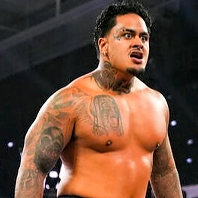 Bully Ray Talks Zilla Fatu's WWE Debut, Says He Can Be 'Rebellious' Bloodline Member