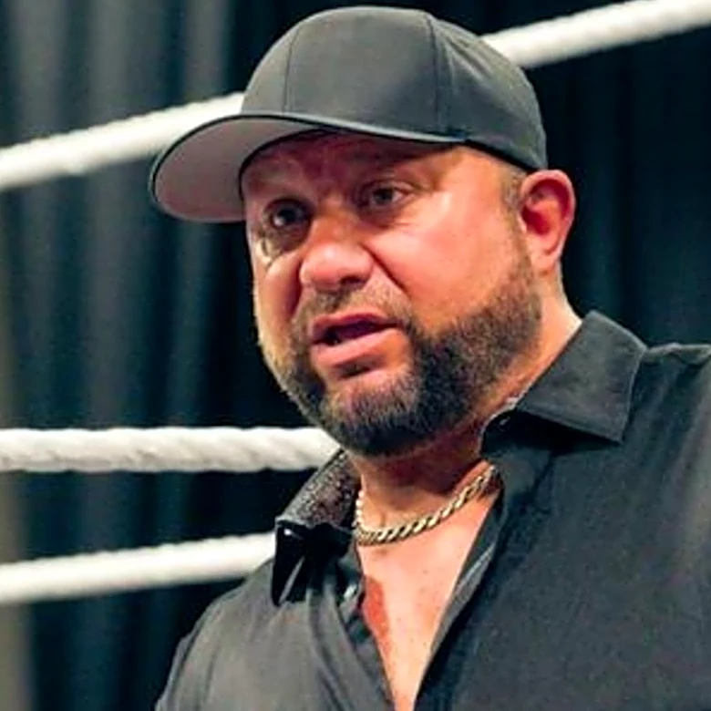 Bully Ray Believes A Mixed Tag Team Division Would Help Solve A Problem For WWE