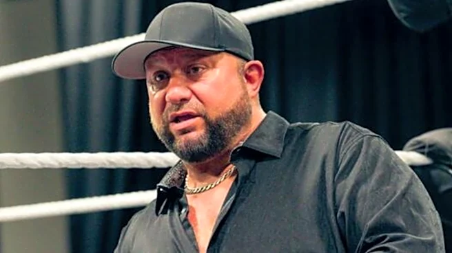 Bully Ray Believes A Mixed Tag Team Division Would Help Solve A Problem For WWE