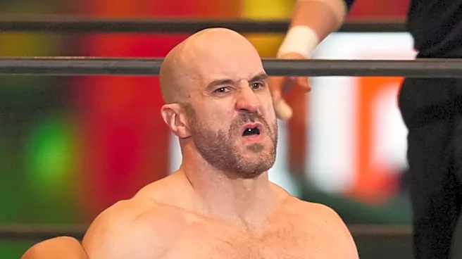 AEW's Claudio Castagnoli Names Favorite Wrestling Venue: 'As Perfect As It Comes'