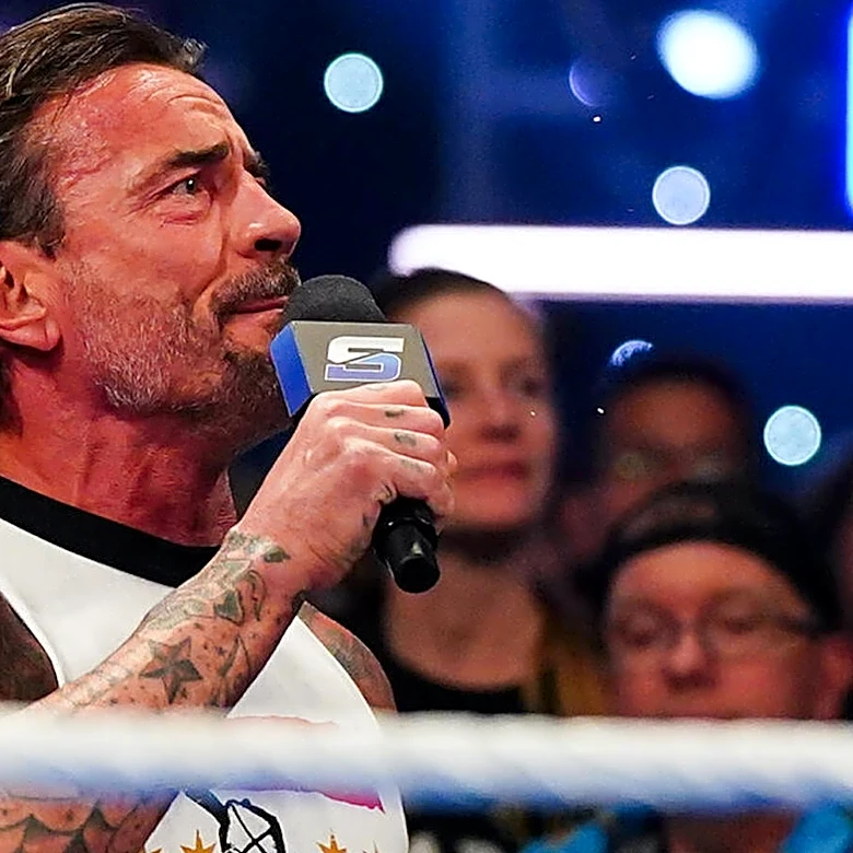 Undisputed WWE Champion CM Punk Reportedly Filmed New Role For ABC Series