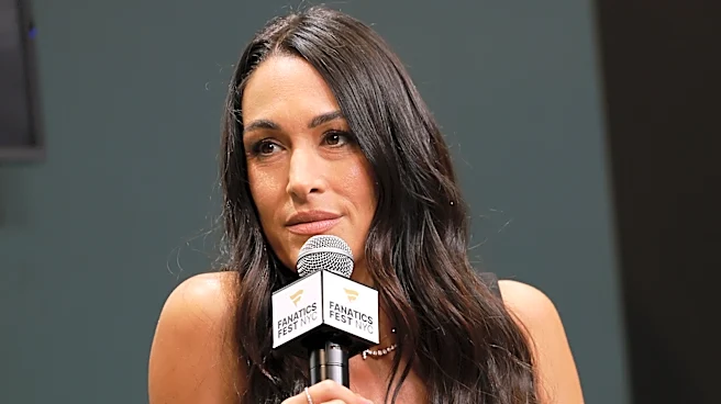 WWE's Brie Bella Offers Injury Recovery Update