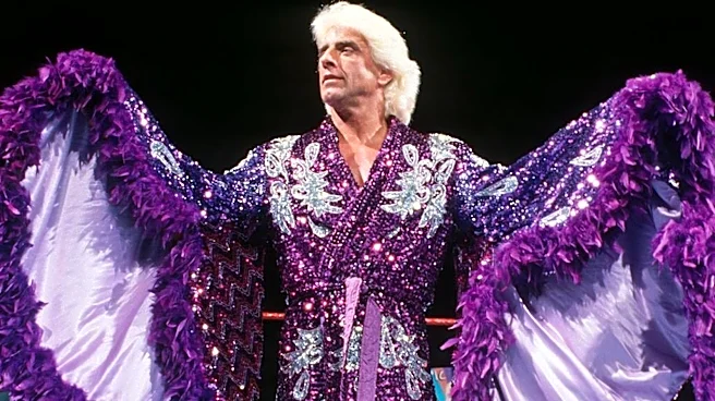 WWE HOFer Ric Flair Reflects On How His Character Led To Reckless Spending