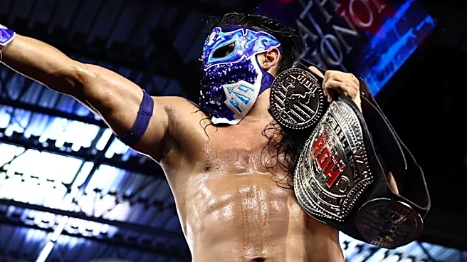 ROH, TNT, And More AEW Titles Set To Be Defended At Grand Slam: France