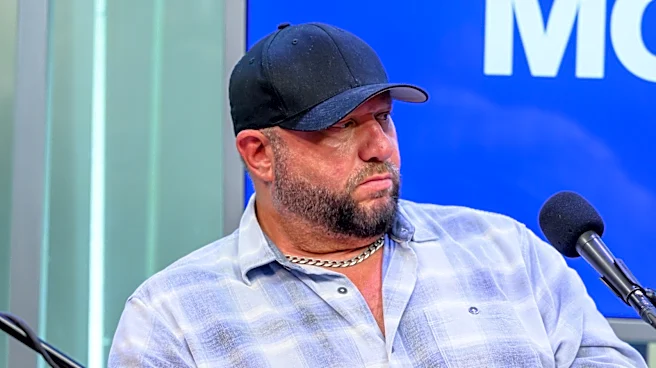 Bully Ray Lays Out 'Great Storytelling' Opportunity For WWE Money In The Bank