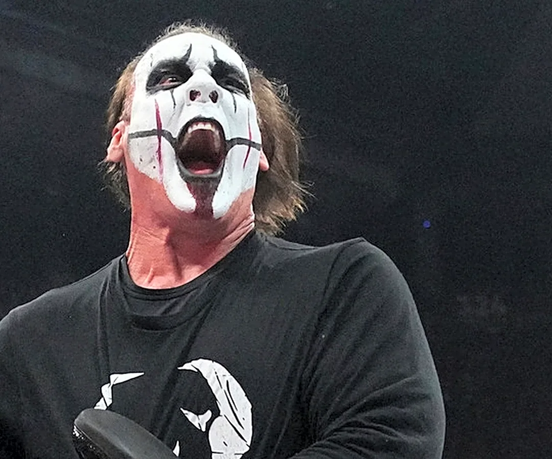 Darby Allin And Steve Borden Say Sting Had 'More Fun In AEW Than Anyone Else'