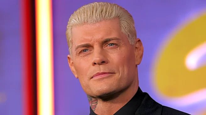 WWE's Cody Rhodes Assesses Wrestling's Place In Culture