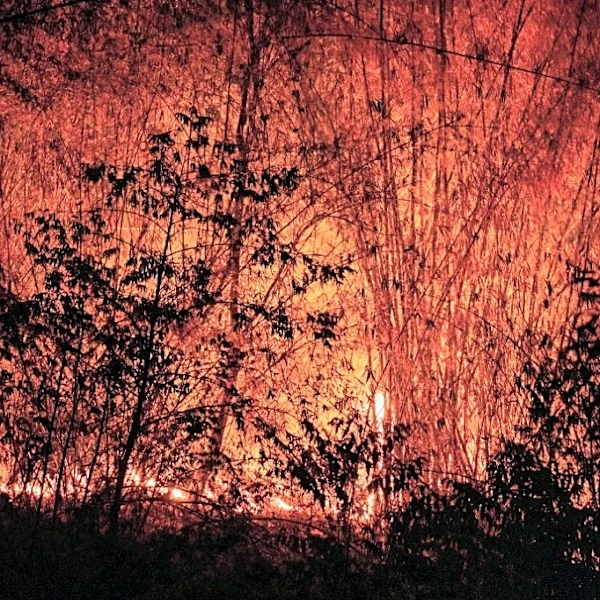 "Es sofocante": una nube contaminante asfixia el norte de Tailandia