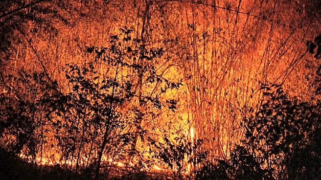 "Es sofocante": una nube contaminante asfixia el norte de Tailandia