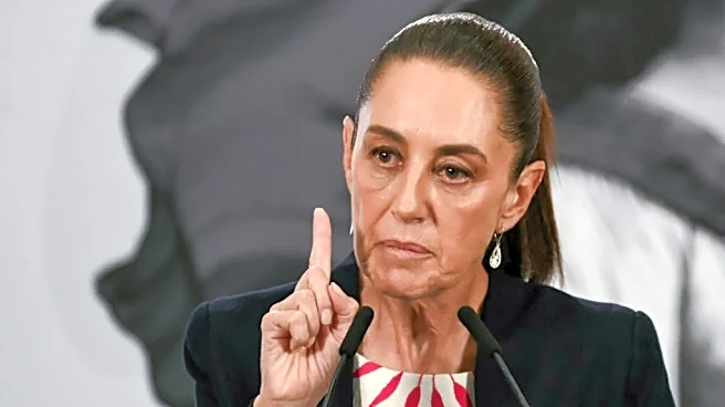 Presidenta de México dice que comité de la ONU ignoró logros de su gobierno en DDHH