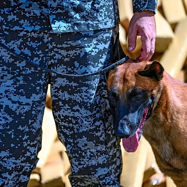 Un perro policía en Brasil lleva a decomiso récord de 48 toneladas de marihuana