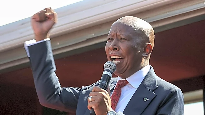 El opositor sudafricano Julius Malema, condenado a cinco años de cárcel