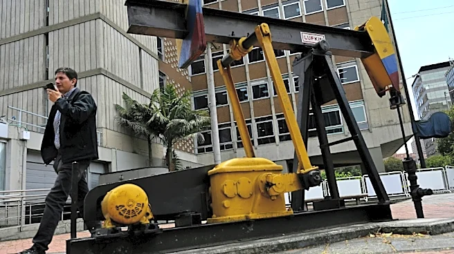 Una ambientalista premiada augura el "inicio del fin" de los combustibles fósiles en Colombia