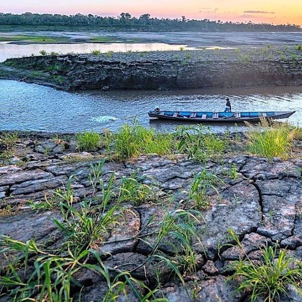 El conficto armado en Colombia amenaza con extinguir 44 especies de animales
