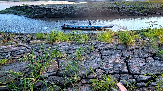 El conficto armado en Colombia amenaza con extinguir 44 especies de animales