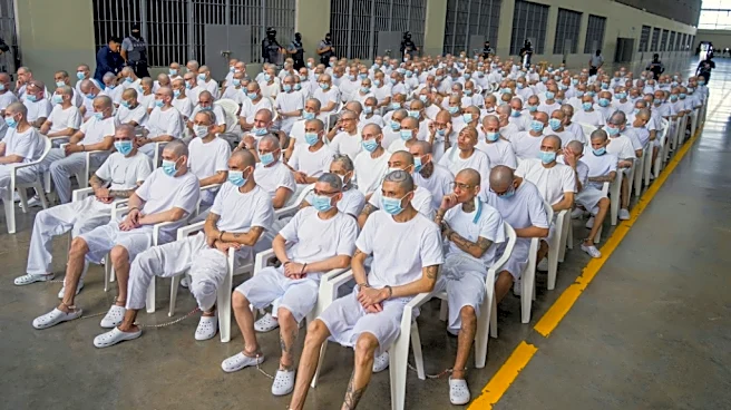 El Salvador abre un juicio masivo contra líderes de la Mara Salvatrucha