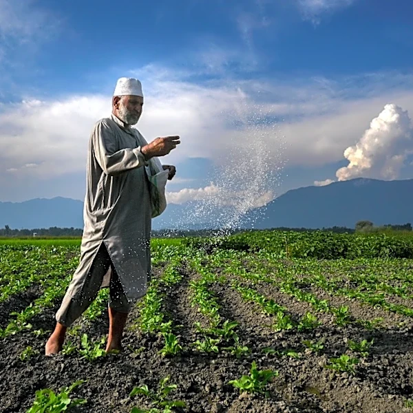Cae la producción de fertilizantes en India por la guerra en Oriente Medio